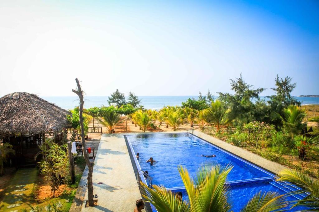 Whisky Point Surf Cabana Arugam Bay Dış mekan fotoğraf